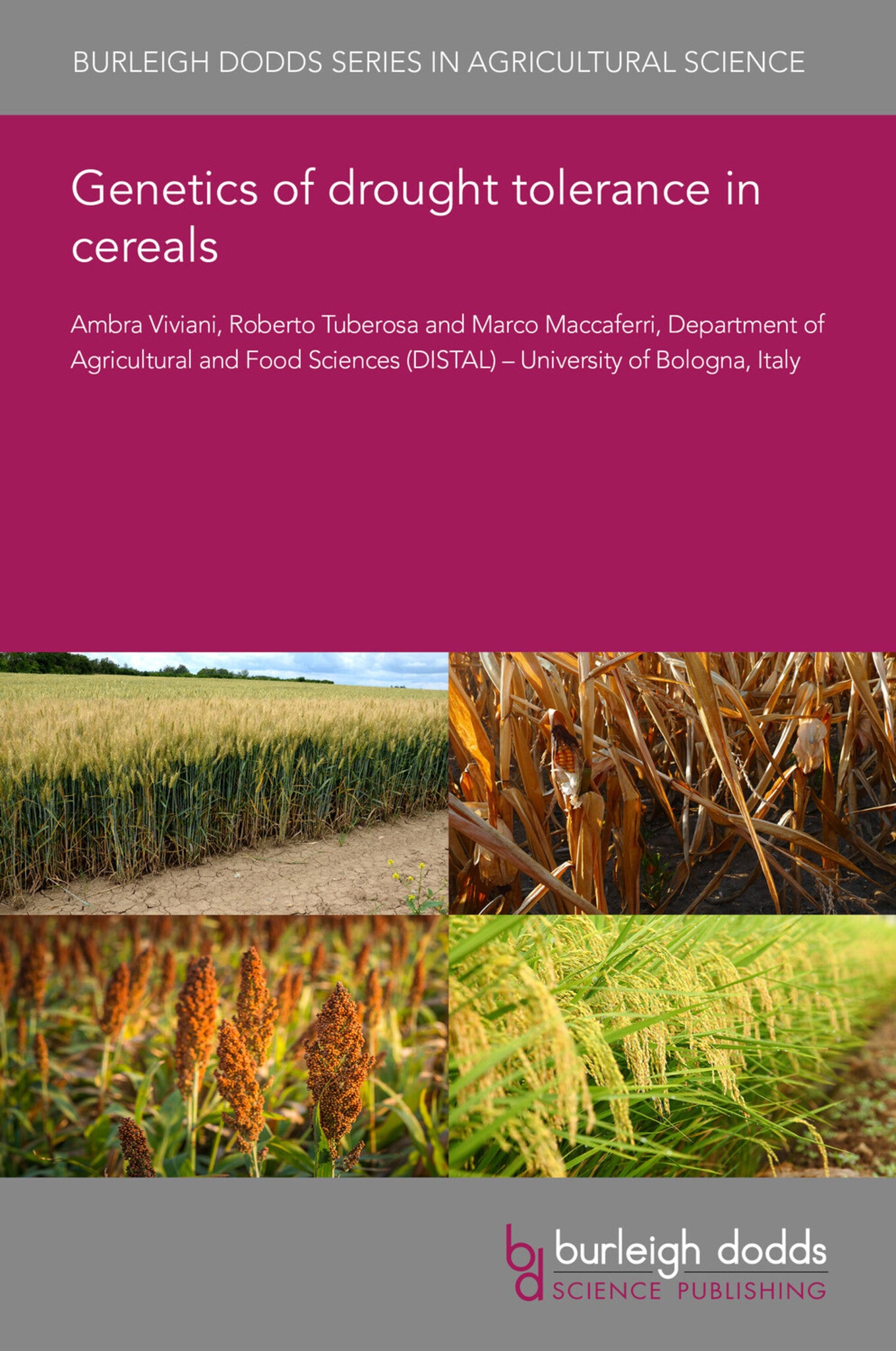 Cover image for Genetics of drought tolerance in cereals ISBN 9781835450284